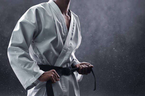 istock Karate martial arts fighter training 1185575036