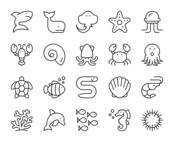 ilustraciones, imágenes clip art, dibujos animados e iconos de stock de sea life y ocean animal - light line icons - coral snake