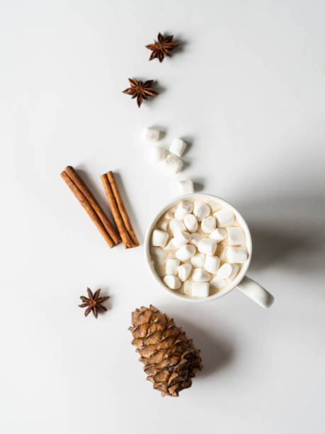 istock White mug with cacao with spices and marshmallows and fir cone on white background. top view. Copy space 1185576108