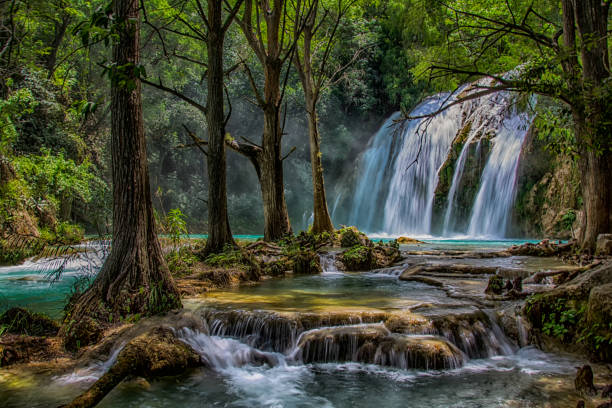 The chiflón is a set of waterfalls that is located in Chiapas without a doubt the most beautiful in the whole state, With turquoise water it is a really magical place