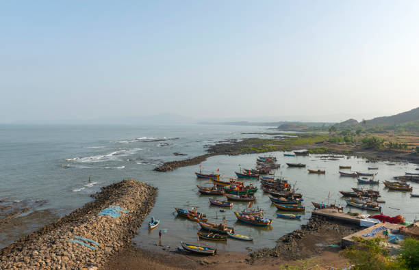 istock Bharadkhol Fish Jetty, Raigad, Maharashtra, India 1185578287