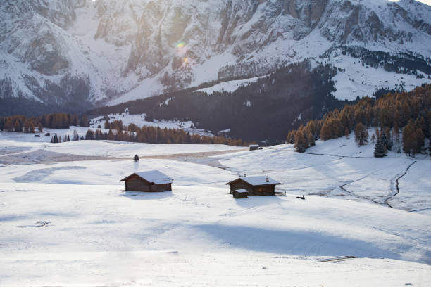 istock Alpe de Siusi in winter 1185579350