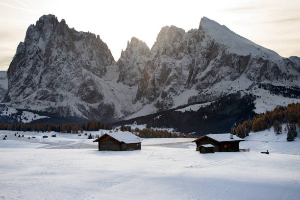 istock Alpe de Siusi in winter 1185579389