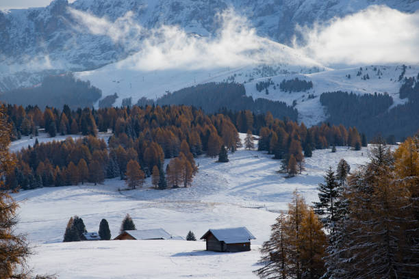 istock Alpe de Siusi in winter 1185579803