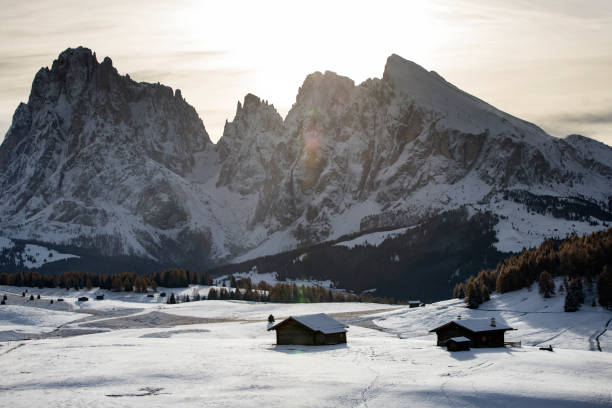 istock Alpe de Siusi in winter 1185580573
