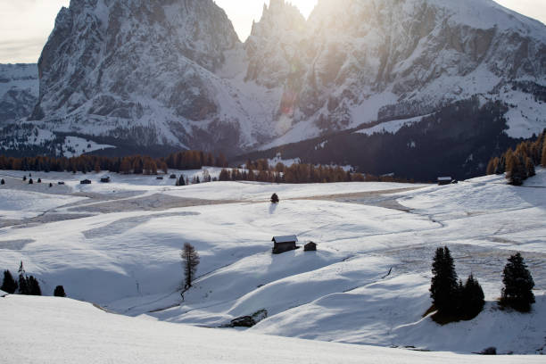 istock Alpe de Siusi in winter 1185580692
