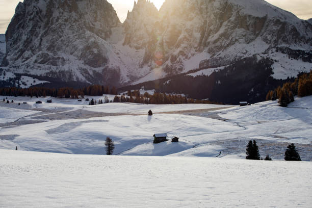 istock Alpe de Siusi in winter 1185580743