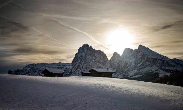 istock Alpe de Siusi in winter 1185580863