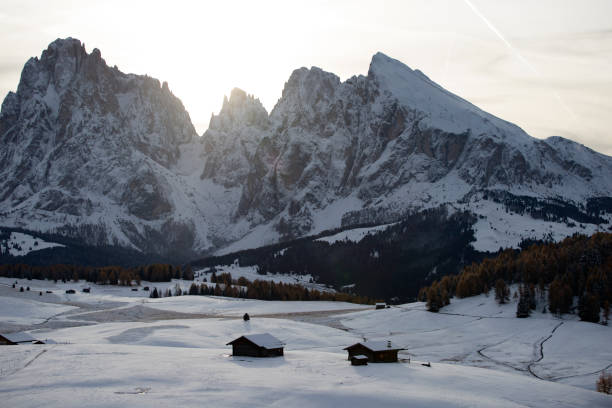 istock Alpe de Siusi in winter 1185580953
