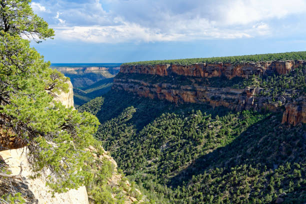 istock Soda Canyon in Mesa Verde National Park 1185583883