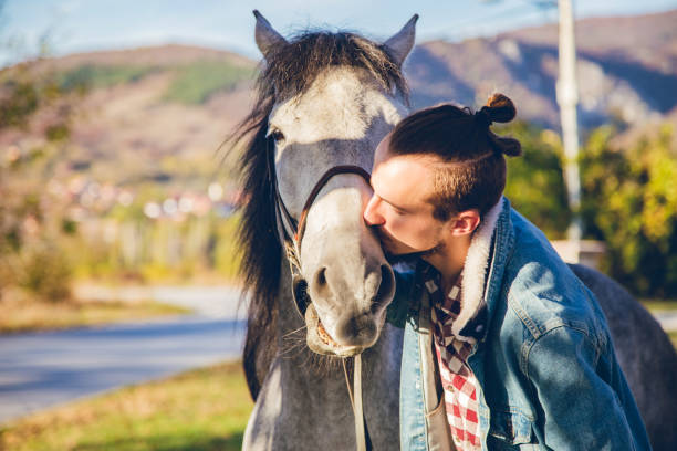 istock Man with grey horse at sunset 1185585818