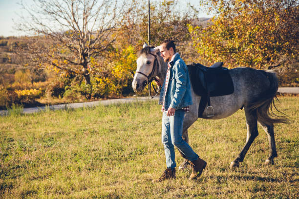 istock Man with grey horse at sunset 1185585843