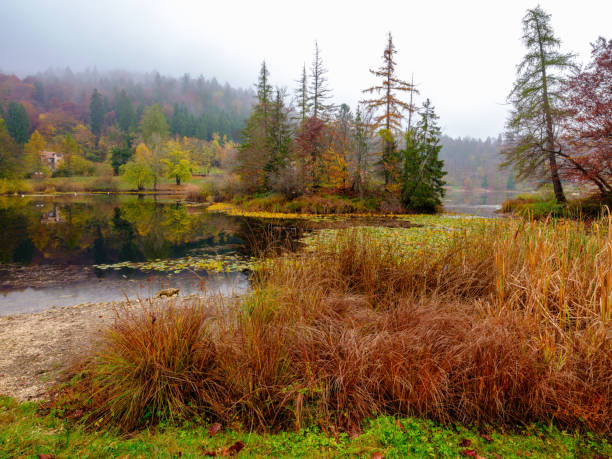 istock Autumn foliage on Lake Cei 1185589018