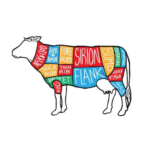 istock UK colorful Meat cuts diagram poster design. Beef scheme for butcher shop vector illustration. Cow animal silhouette vintage retro hand drawn style graphic. 1185589029