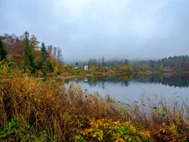 istock Foliage in autumn - Walk in the mountains 1185590704