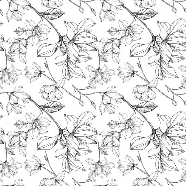 벡터 목련 꽃 식물 꽃입니다. 흑백 잉크 아트가 새겨져 있습니다. 원활한 배경 패턴. - autumn tree leaf formal garden stock illustrations