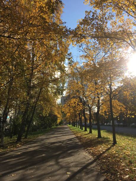 istock Park alleys and parks in early autumn 1185592413