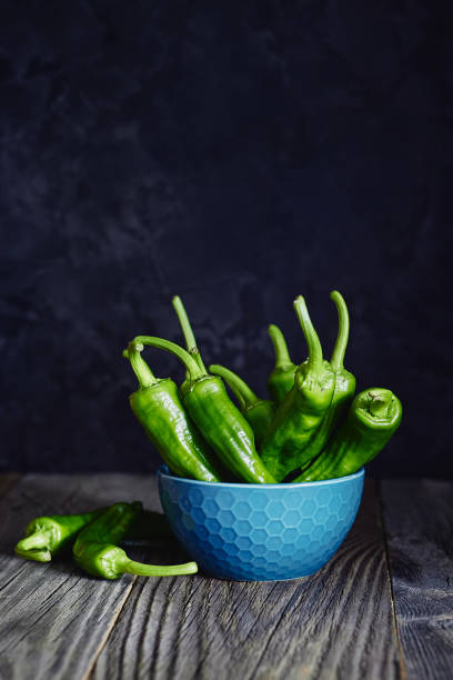 Healthy, organic vegetable food. Side view with copy space