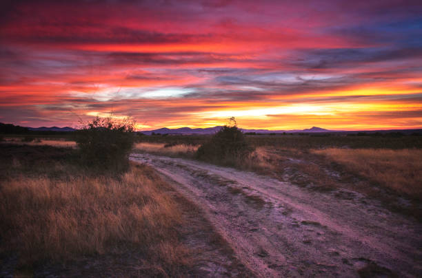 istock Sunset on a road in Salas de los Infantes (Burgos, Spain). 1185595532