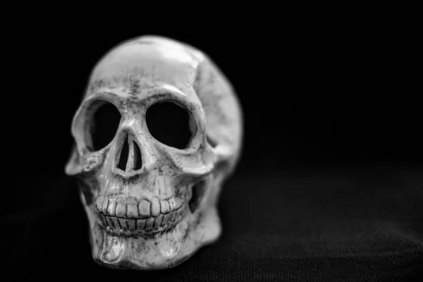 istock Skull of a man 1185600718