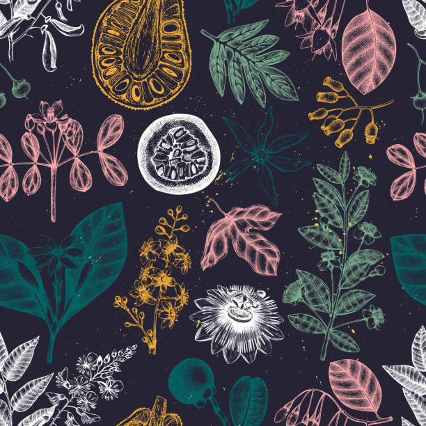 Vector floral seamless pattern Vector floral seamless pattern. Vintage Hand drawn exotic fruits and flowers illustrations. Aromatic and medicinal plant backdrop. Outlines in engraved style. passion fruit flower stock illustrations