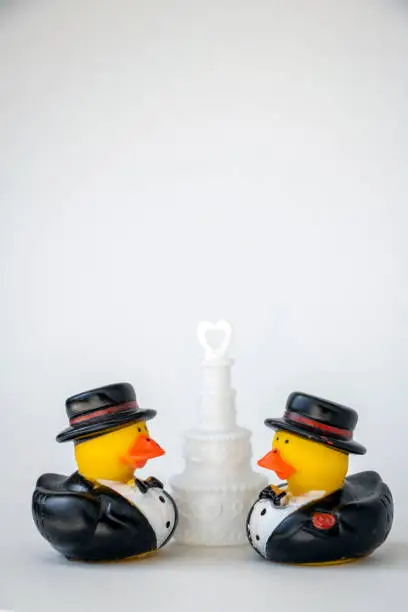 Pairi of two toy rubber duck grooms looking toward each other, with white layered wedding cake in center.