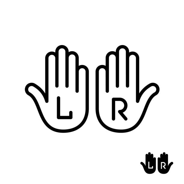 ilustraciones, imágenes clip art, dibujos animados e iconos de stock de palmas de la mano izquierda y derecha con letras l y r signos. icono de estilo de línea. - letter l human hand human finger human thumb