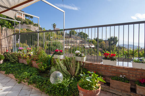 istock Home with Garden 1185614425