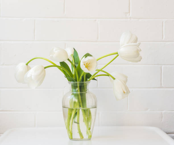 istock White tulips in glass vase on table against wall 1185617144