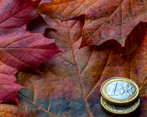 istock New pound coin released 2017 and Euro coin 1185622330