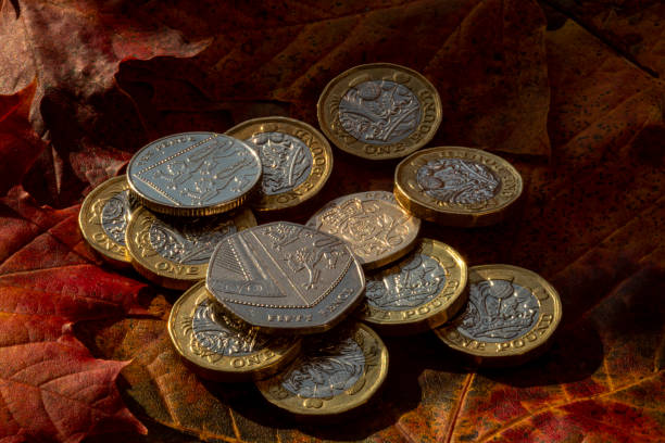영국 동전 - magnification coin equipment european union currency 뉴스 사진 이미지