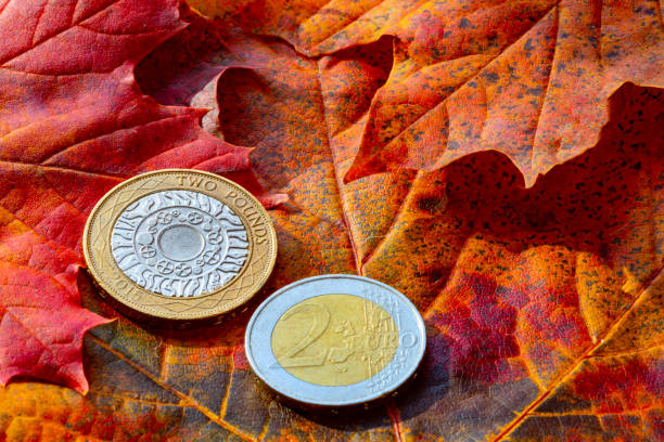 istock Two pound coin and Two Euro coin 1185622998