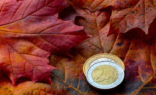 istock Two pound coin and Two Euro coin 1185623810