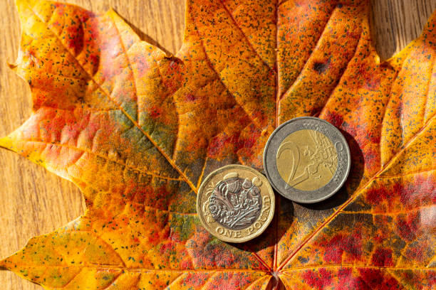 istock One pound and Two Euro coins 1185623972