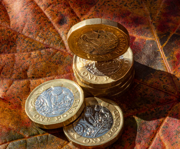 istock One pound coins 1185623999
