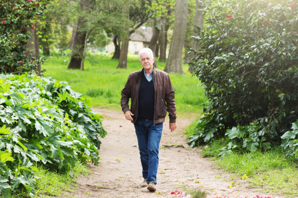 istock Senior man striding through woods in winter 1185624002