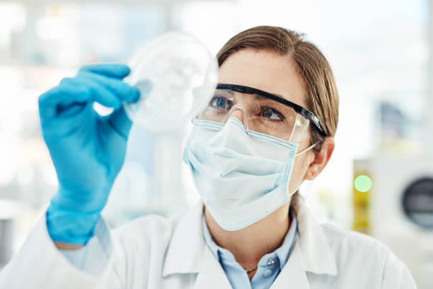 I'll need to carry out more testing on this Shot of a young scientist working with medical samples in a lab petri dish photos stock pictures, royalty-free photos & images