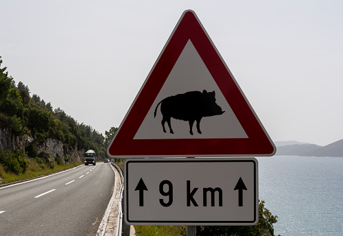 Banja, Croatia - April 24, 2019: Traffic sign and warning of wild boar crossing the street.