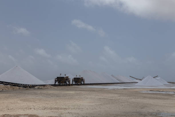 istock caribbean salt lake mining work Bonaire island Netherlandes Antilles 1185628126