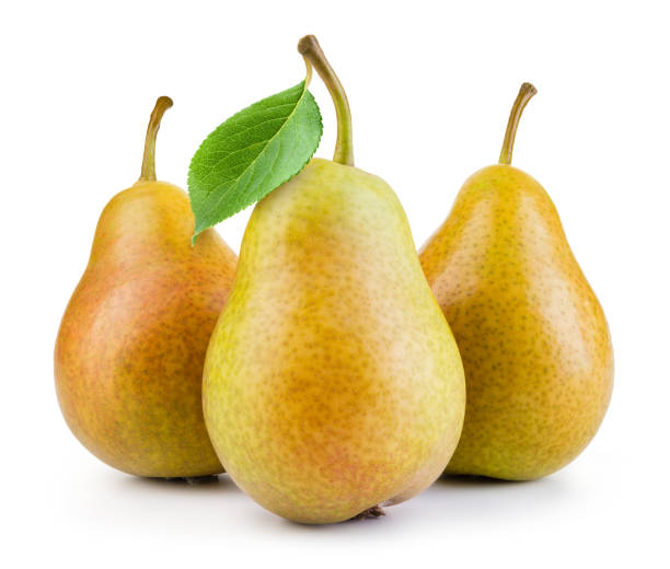 istock Pears isolated. Pears with leaf on white background. Full depth of field. 1185628266