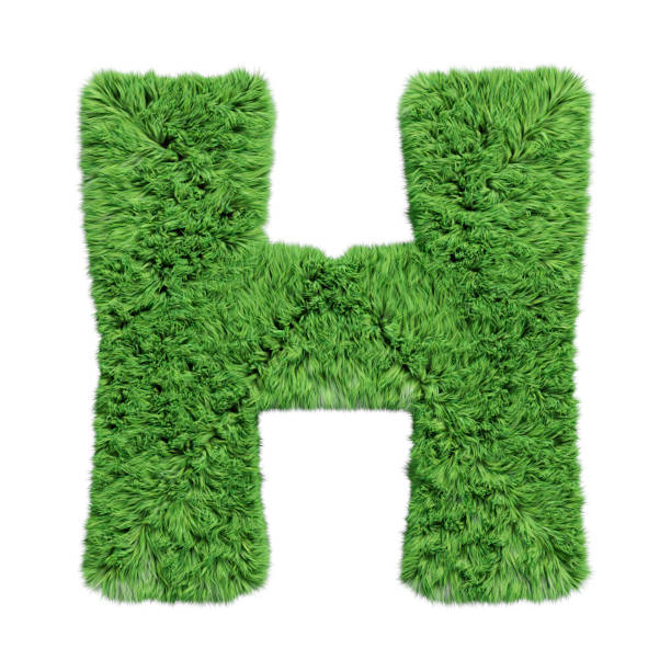 istock Herbal grass alphabet uppercase letter G. Isolated on white 3D illustration. 1185629562