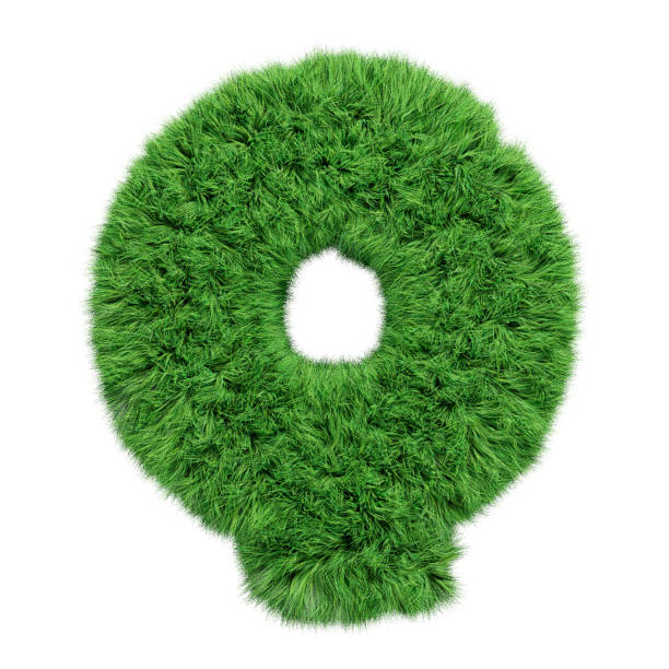 istock Herbal grass alphabet uppercase letter Q. Isolated on white 3D illustration. 1185629689