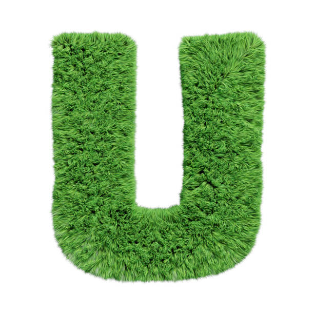 istock Herbal grass alphabet uppercase letter U. Isolated on white 3D illustration. 1185630160