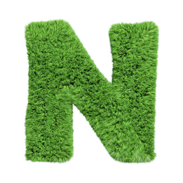 istock Herbal grass alphabet uppercase letter N. Isolated on white 3D illustration. 1185630832