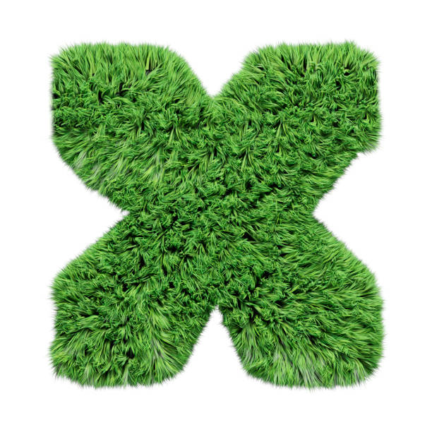 istock Herbal grass alphabet lowercase letter x. Isolated on white 3D illustration. 1185630887