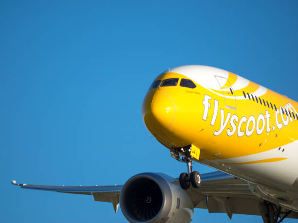 scoot dreamliner bei der ankunft am gold coast airport - scoot stock-fotos und bilder