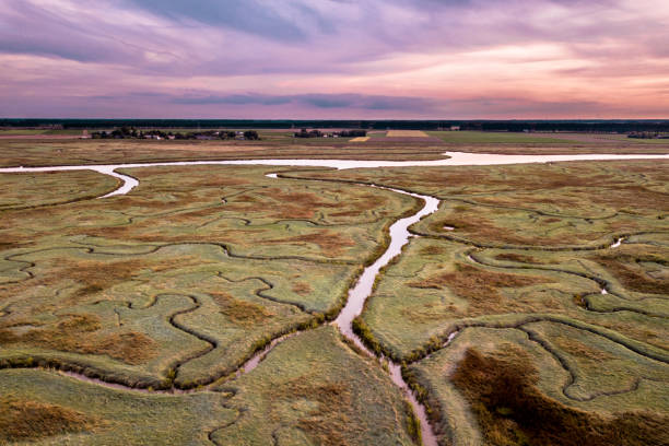 istock Aerial view of tidal marshland 1185631706