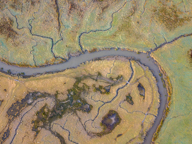 istock Aerial view of tidal marshland 1185631724