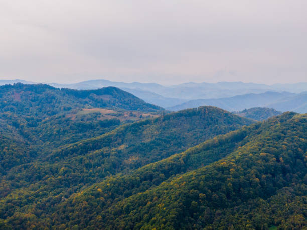 istock Aerial view mountain with trees in autumn 1185632755
