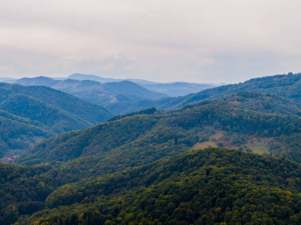 istock Aerial view mountain with trees in autumn 1185632761